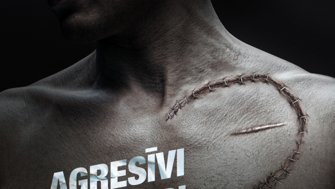 agresivi-manevri-vp
