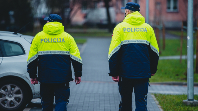 valsts policija