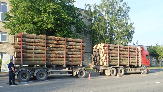 krava