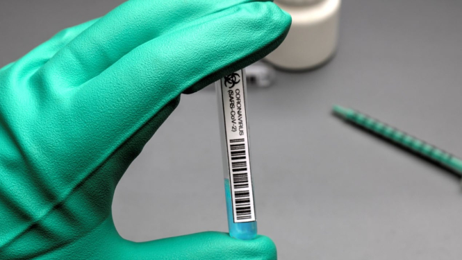 covidtests