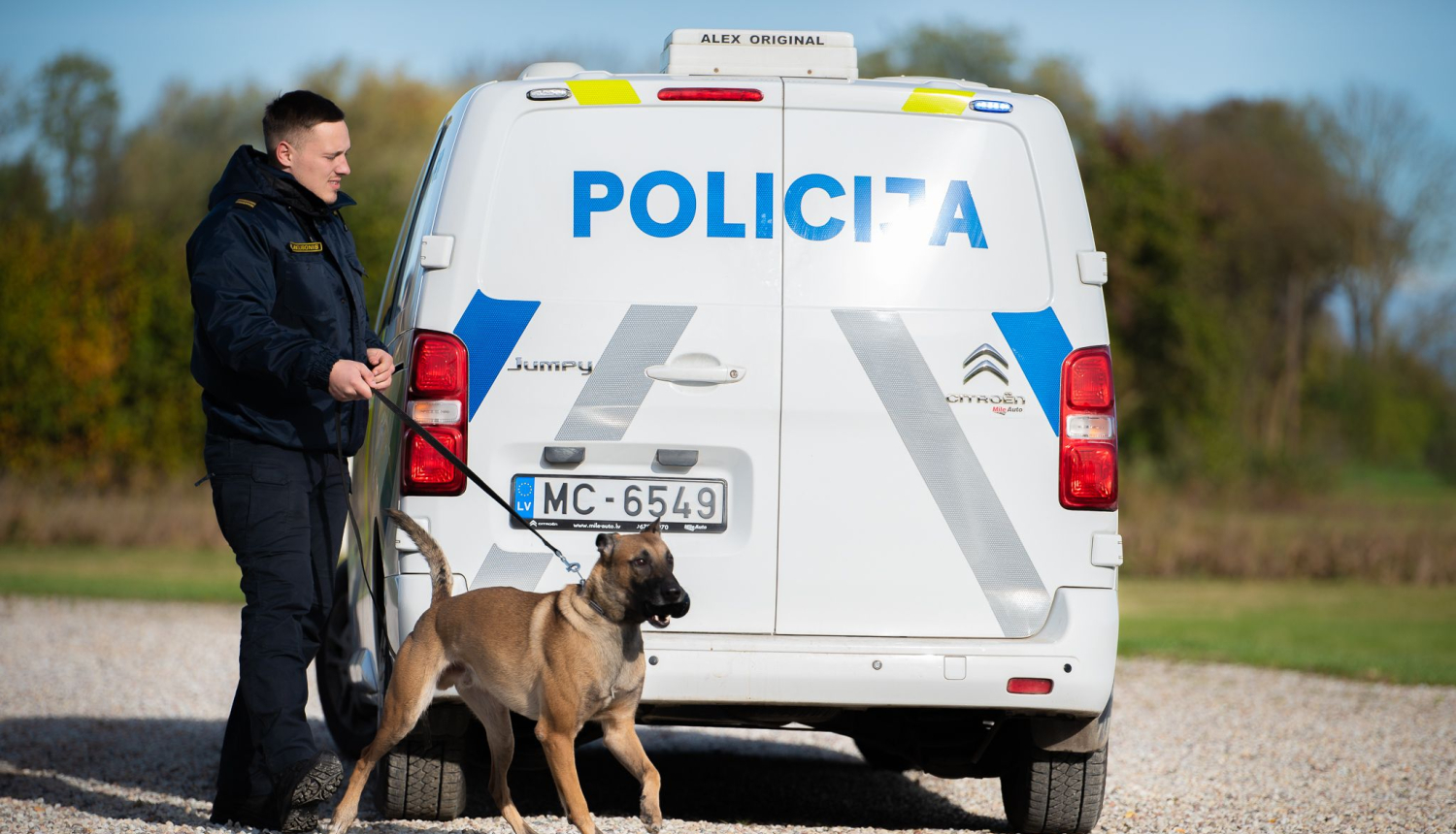 valsts policija
