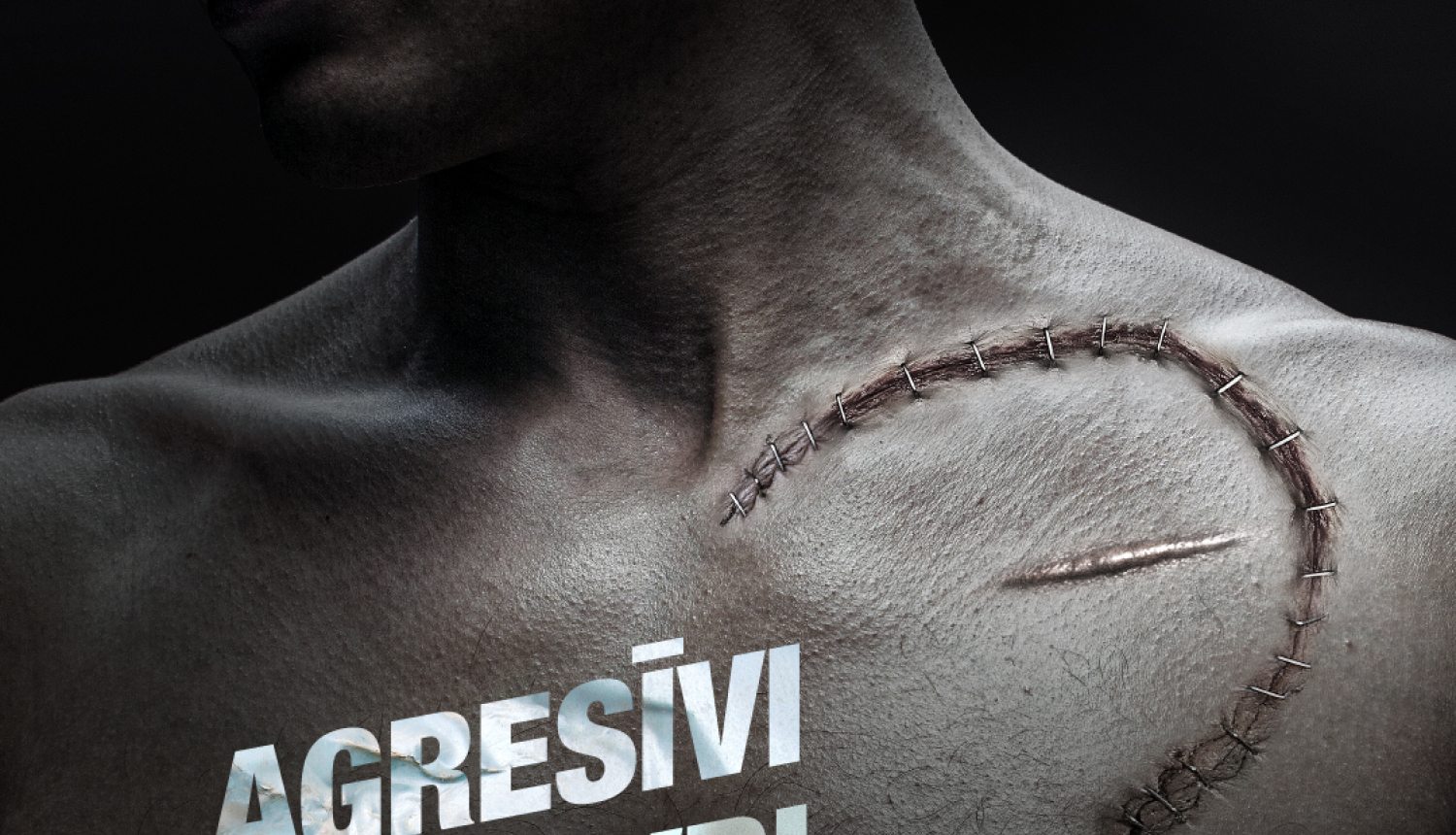 agresivi-manevri-vp
