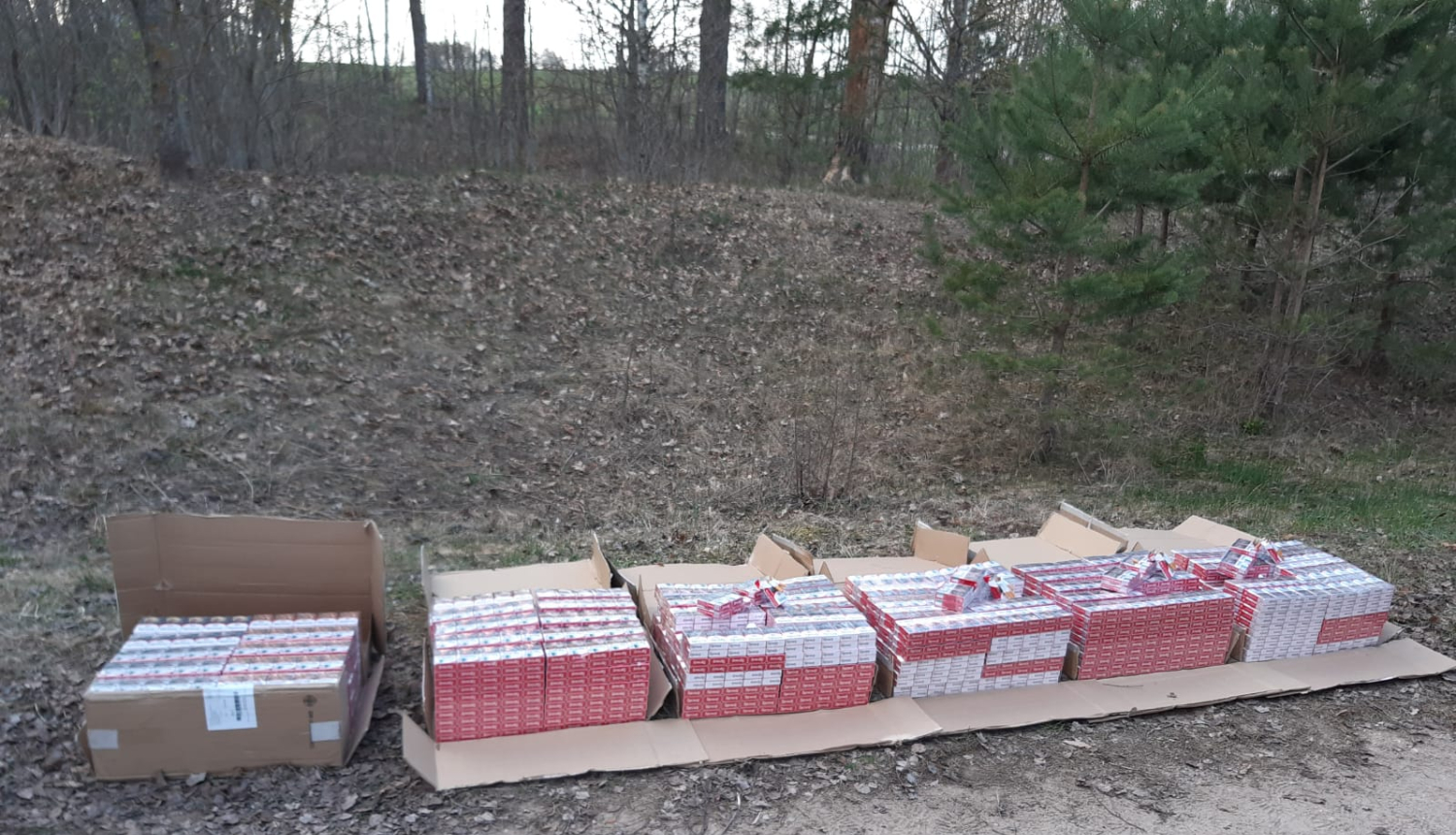 cigaretes