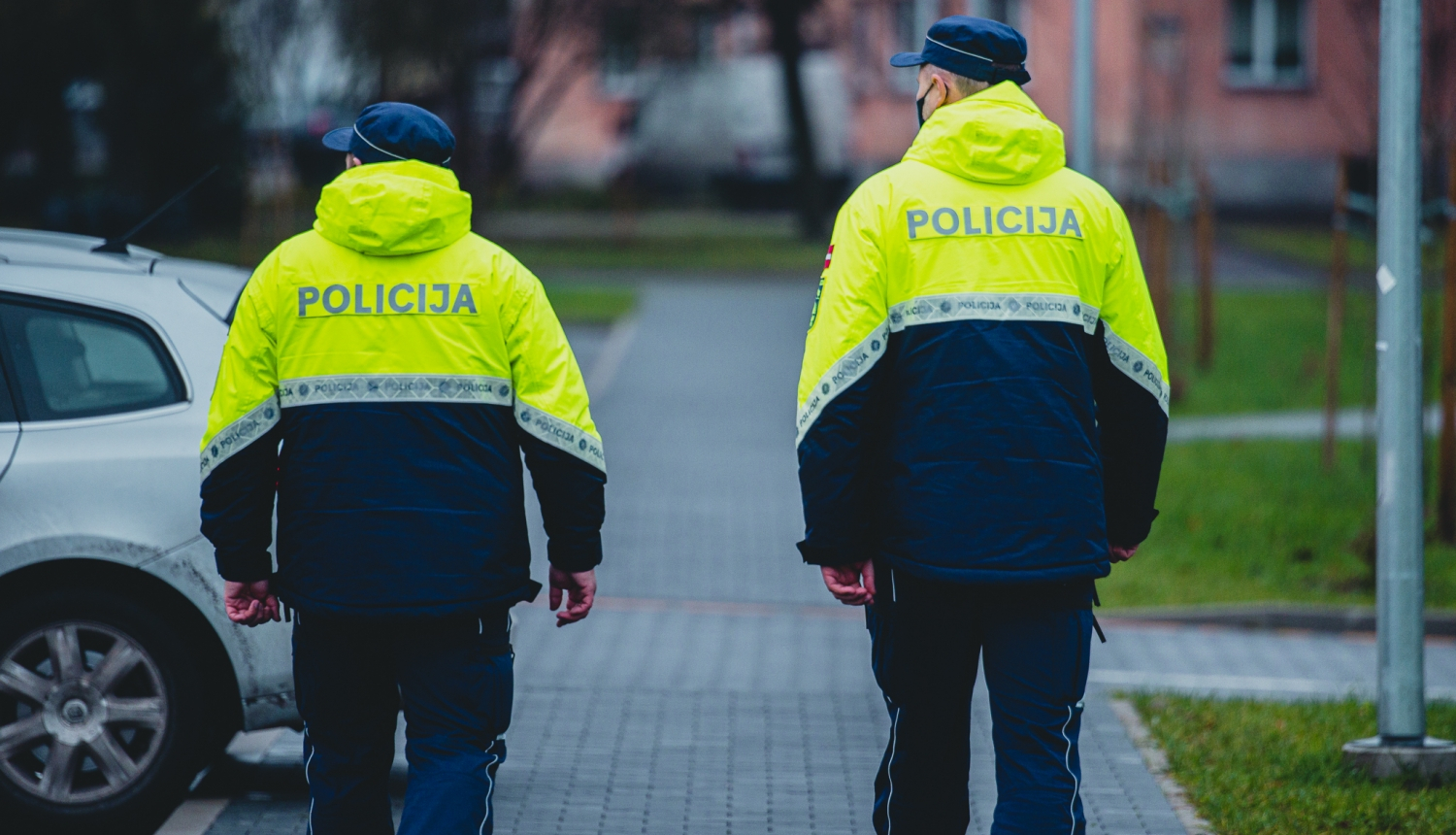 valsts policija