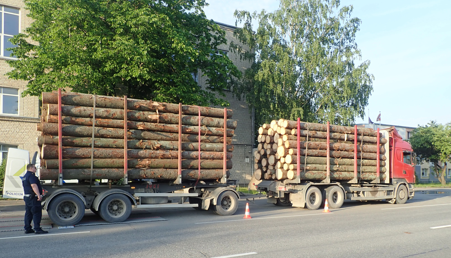 krava