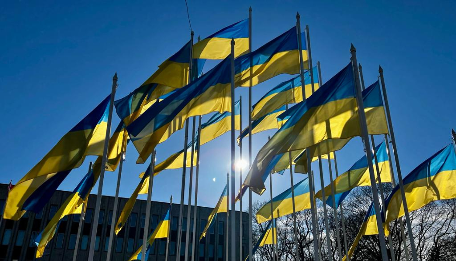 Ukrainas karogi