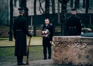 Ziedu nolikšana