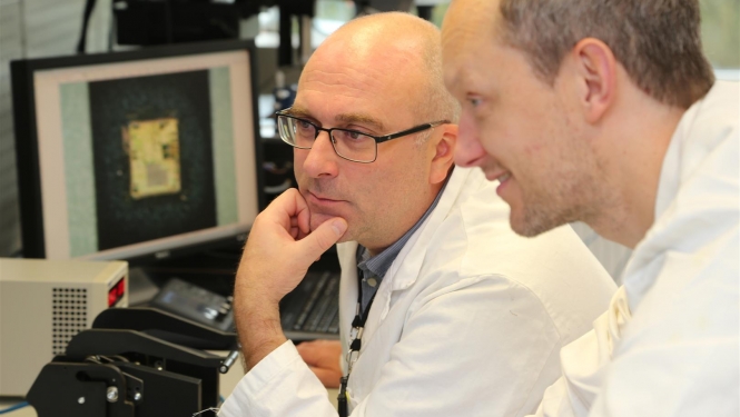 Ekspertīžu modernizācija