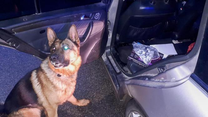 policijas suns uziet narkotikas