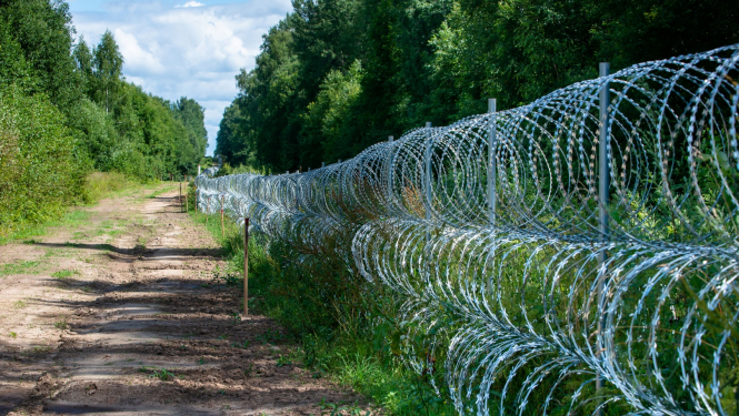 dzeloņstiepļu žogs uz robežas