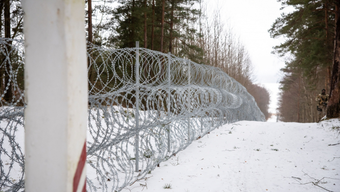 Dzeloņstiepļu žogs