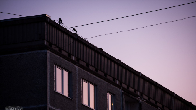 rīgā valsts policija atklāj bordeli