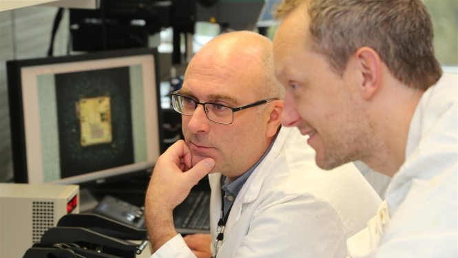 Ekspertīžu modernizācija