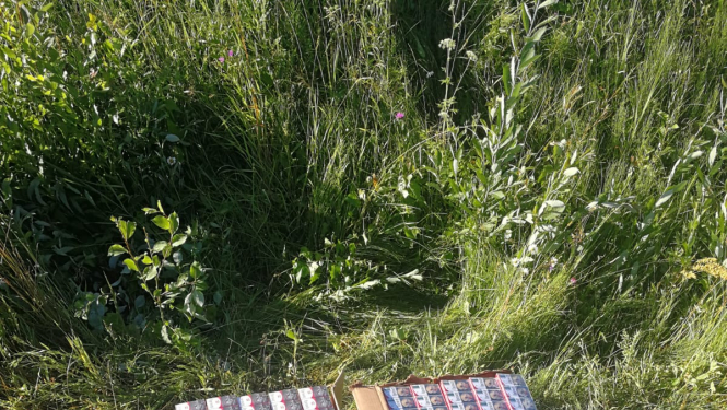 Kontrabanda-cigaretes