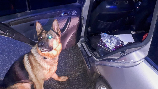 policijas suns uziet narkotikas