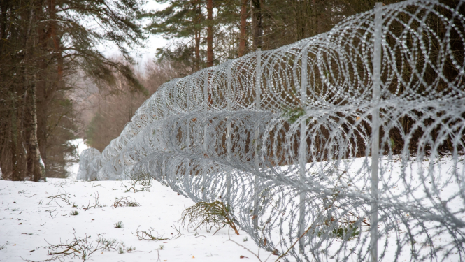 Dzeloņstiepļu žogs uz robežas