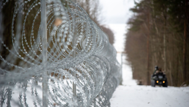 Dzeloņstiepļu žogs, sniegs, mežs