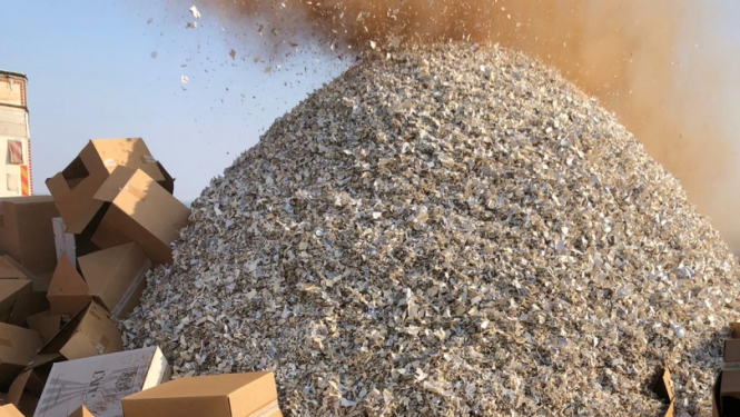 iznīcināšana_februāris