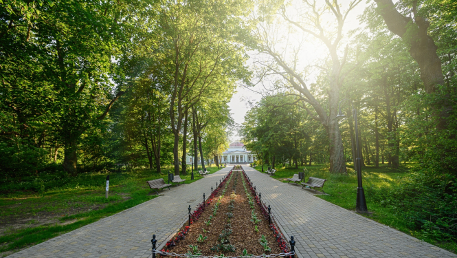 Miķela Valtera iela Liepājā