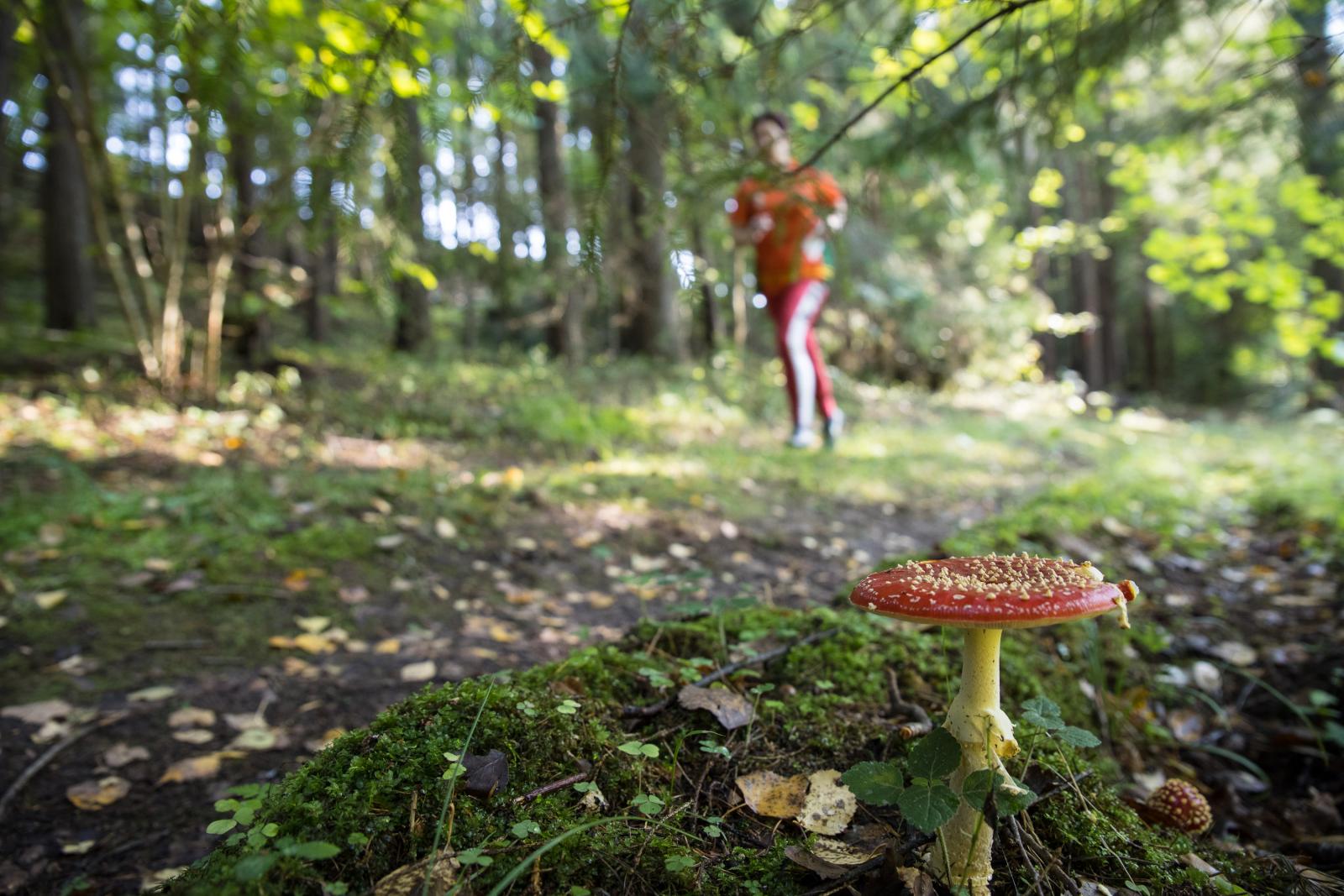 Iekšlietu ministrijas atklātais čempionāts orientēšanās sportā