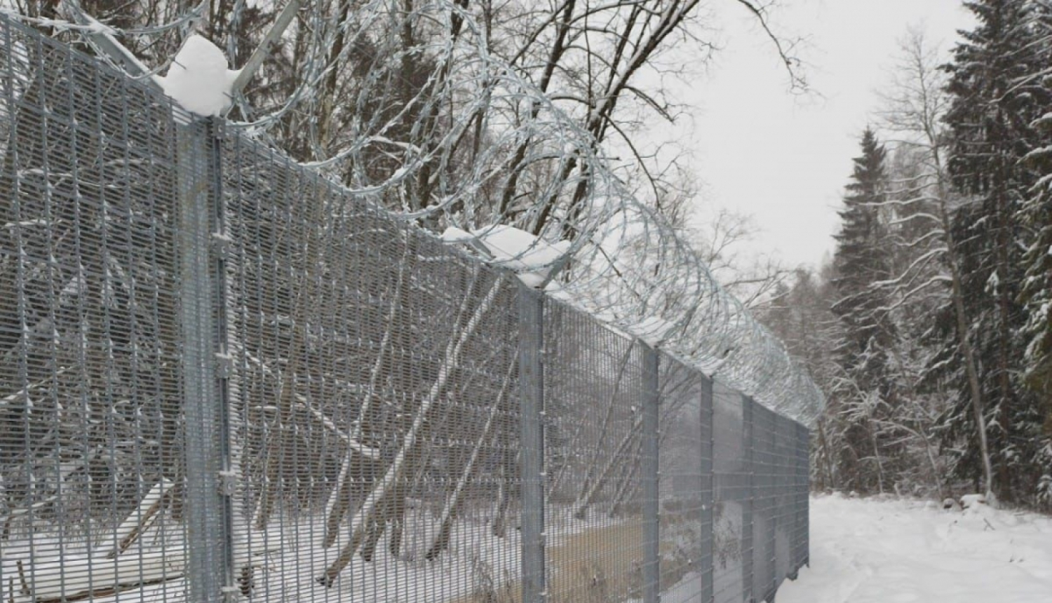 Dzeloņdrāšu žogs