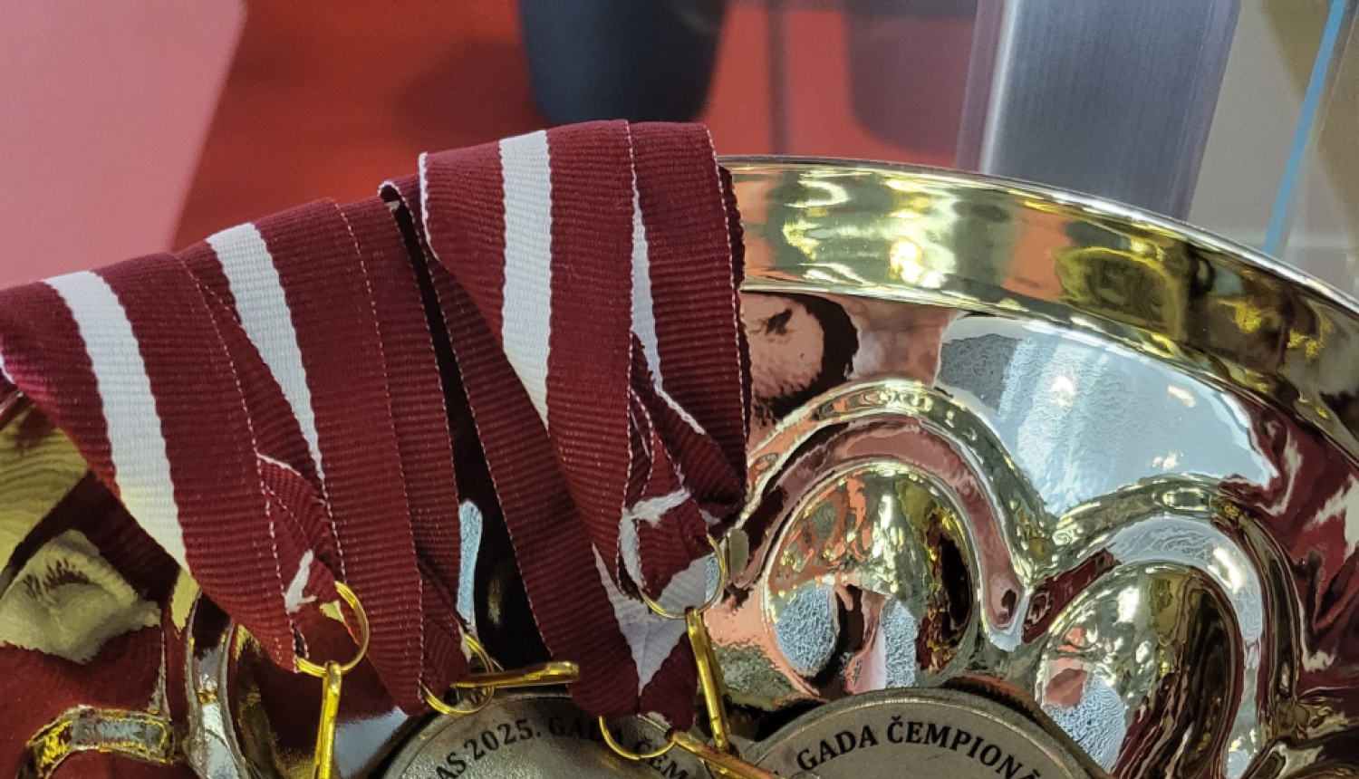 MEDAĻAS IELIKTAS IEKŠĀ LIELAJĀ KAUSĀ