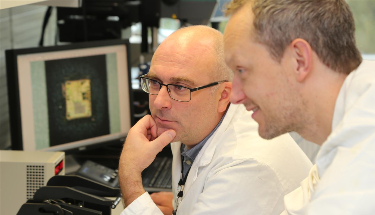 Ekspertīžu modernizācija