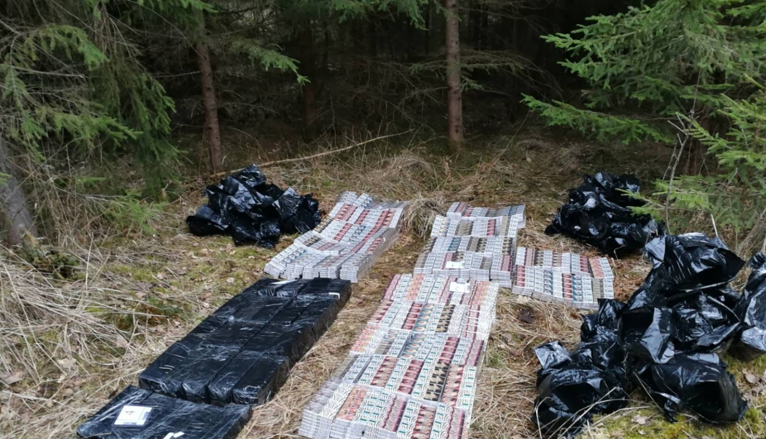 kontrabanda cigarešu mežā