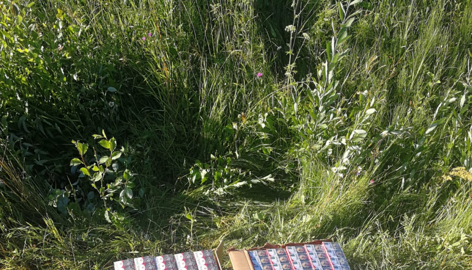 Kontrabanda-cigaretes