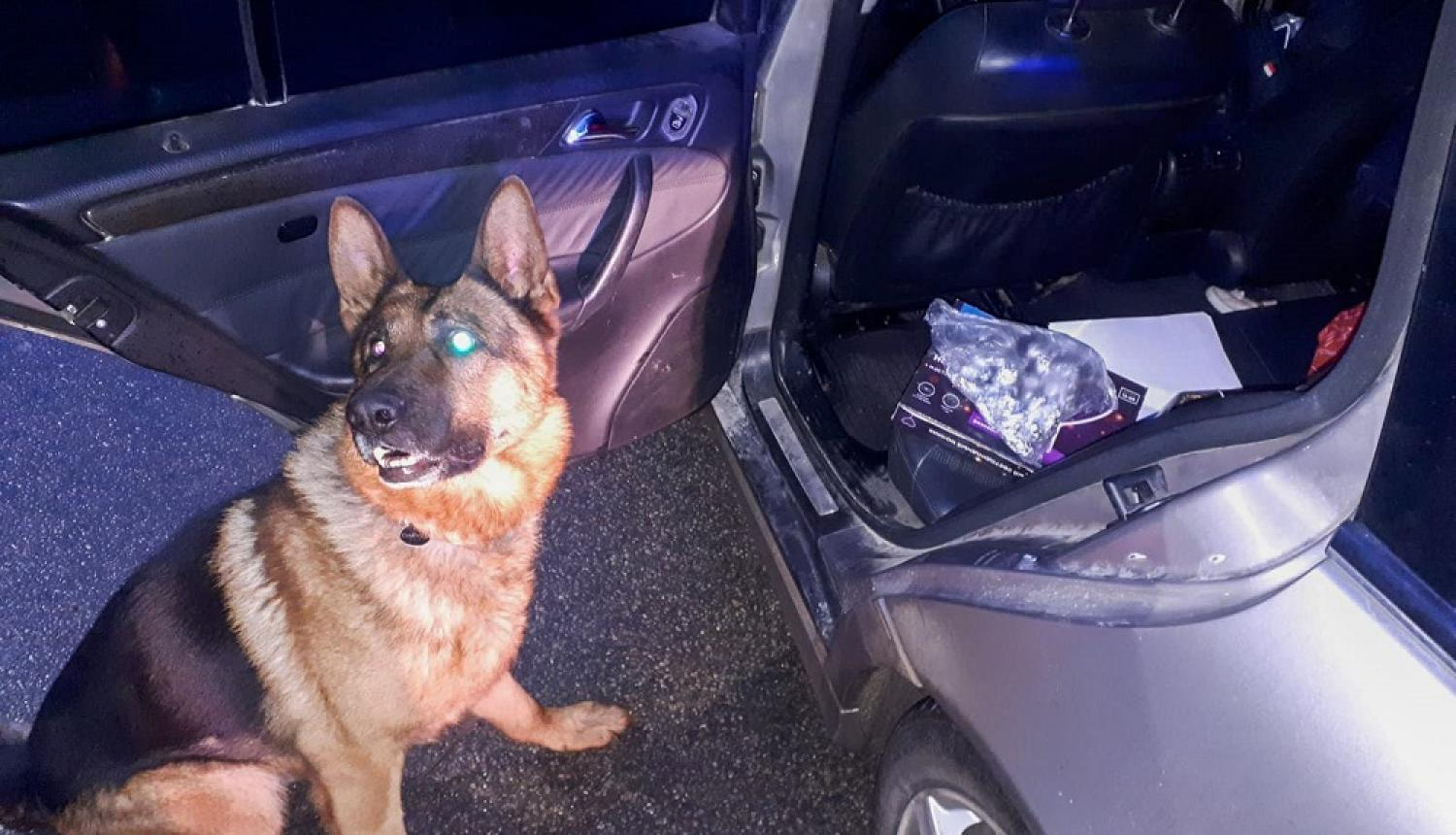 policijas suns uziet narkotikas