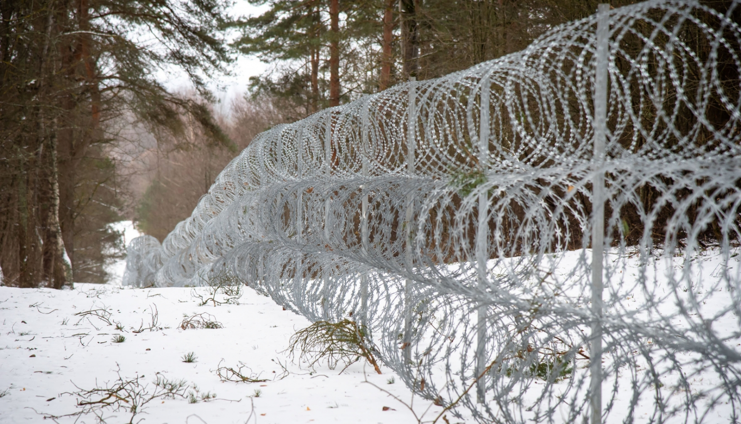 Dzeloņstiepļu žogs uz robežas