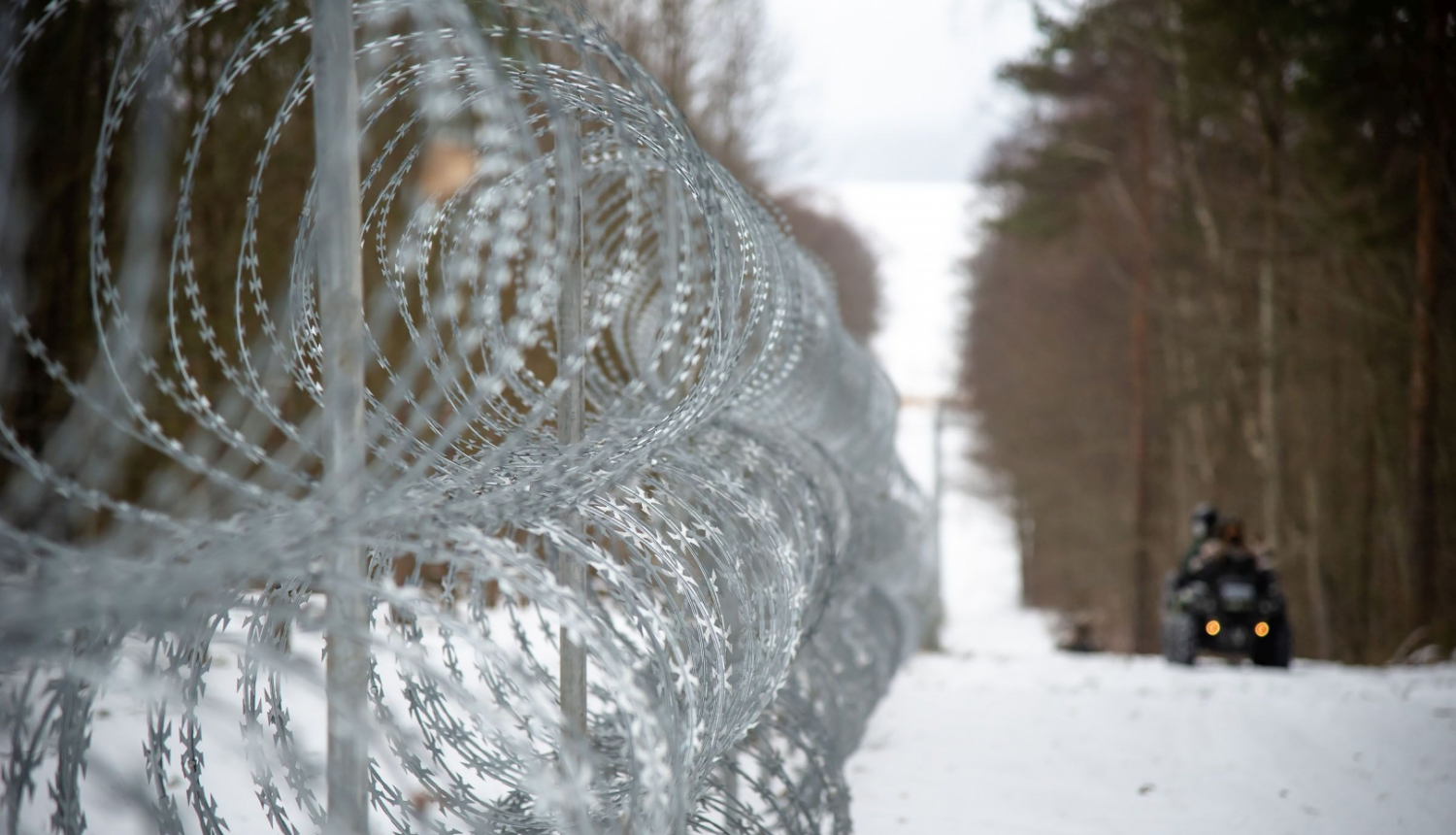 Dzeloņstiepļu žogs, sniegs, mežs