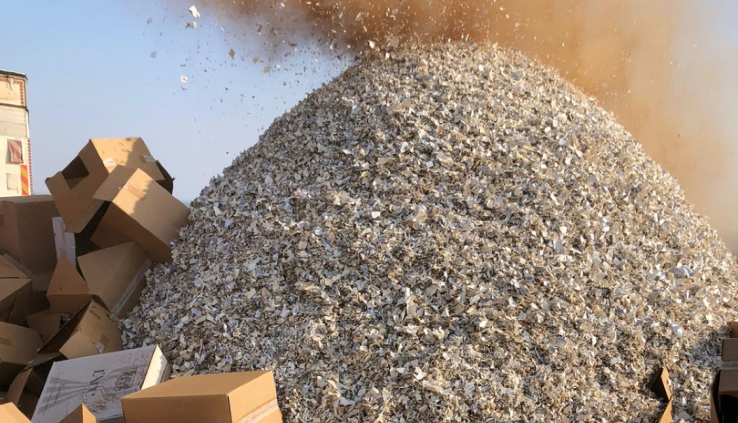 iznīcināšana_februāris