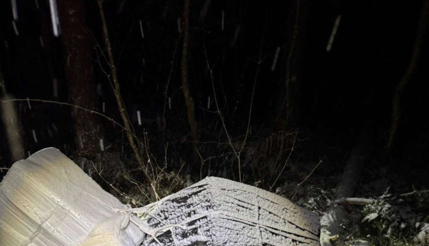 Attēls no notikuma vietas