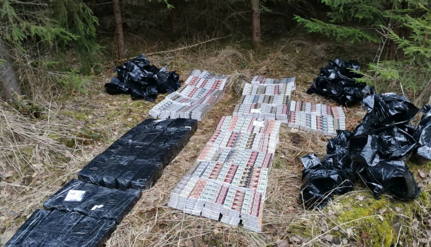 kontrabanda cigarešu mežā