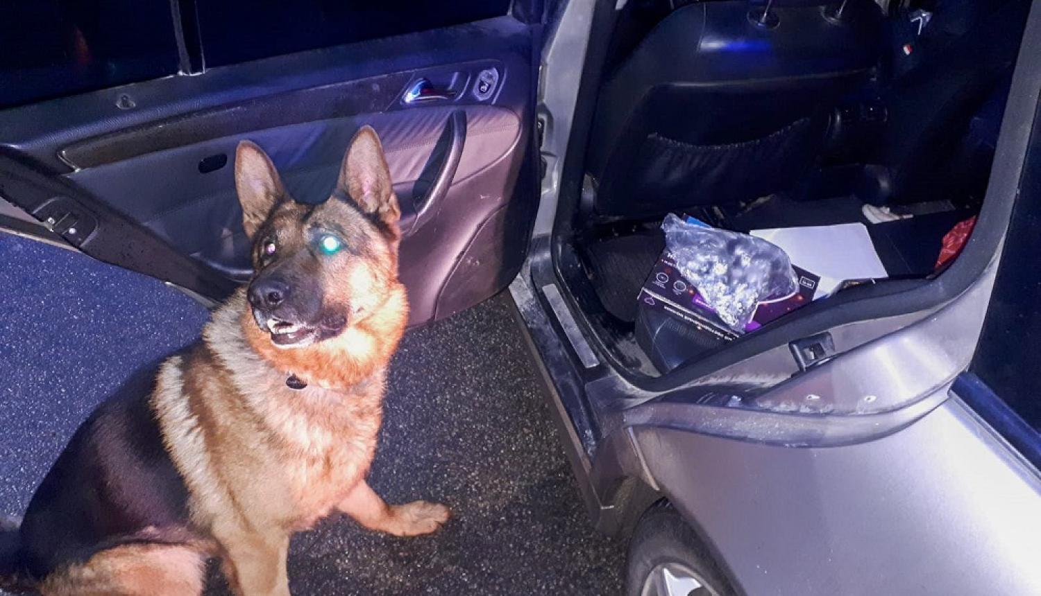 policijas suns uziet narkotikas