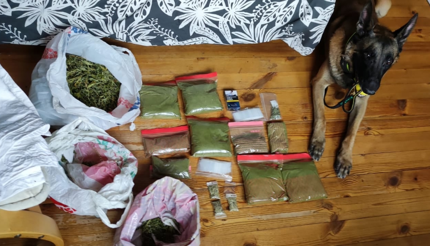 suns guļ uz grīdas, blakus sapakotas narkotikas